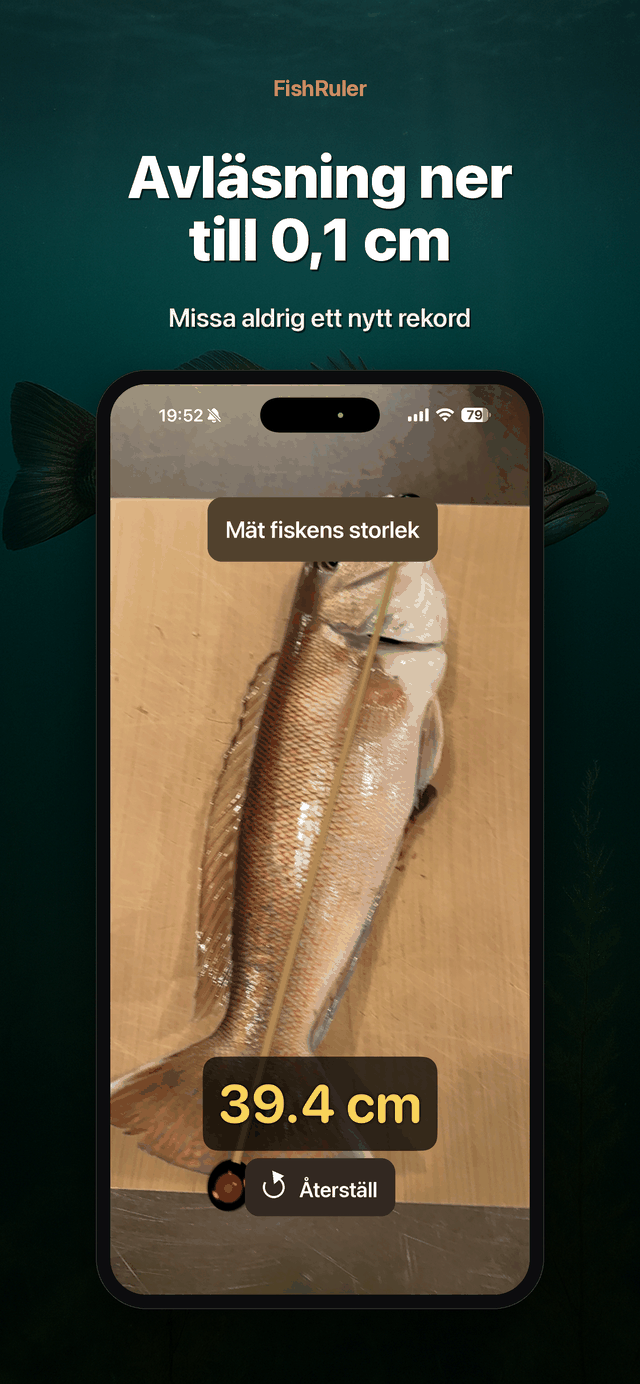 Avläsning ner till 0.1 cm