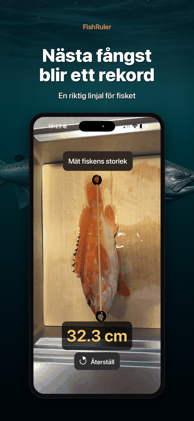 Ditt nästa rekord