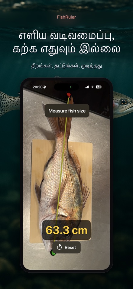 FishRuler: மீன் அளவை 9