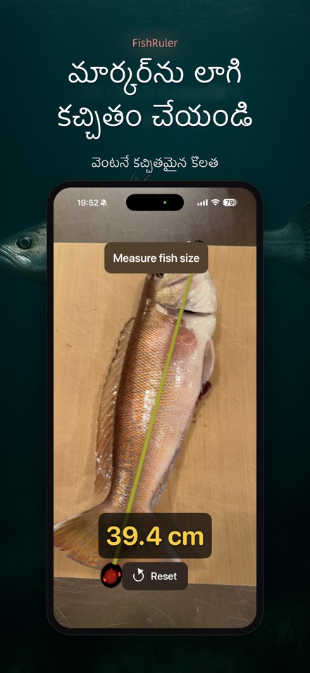 FishRuler: చేప కొలత 2