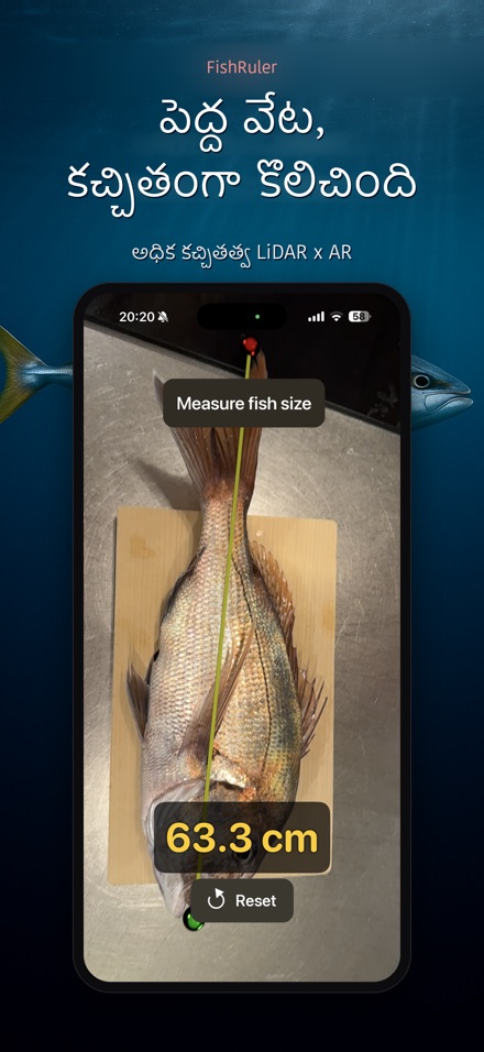 FishRuler: చేప కొలత 3