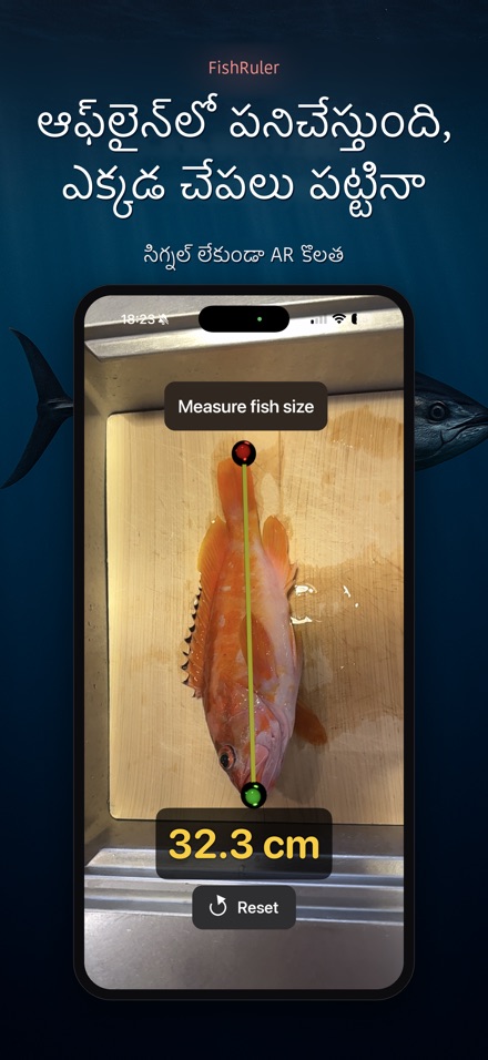 FishRuler: చేప కొలత 7