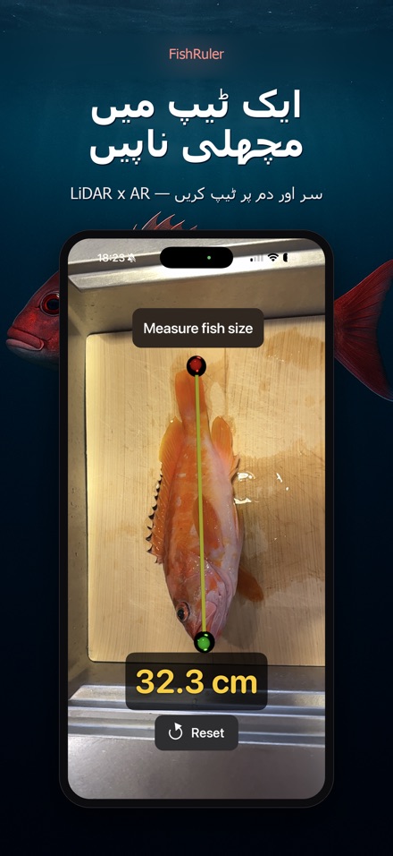 FishRuler: مچھلی کی پیمائش