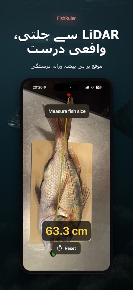 FishRuler: مچھلی کی پیمائش 6