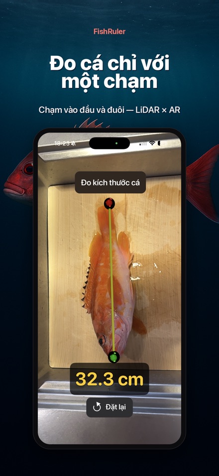 FishRuler: Đo kích thước cá