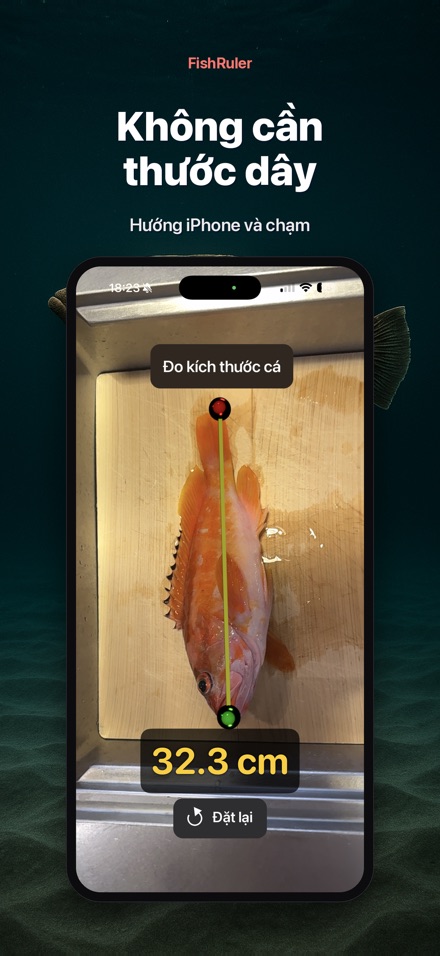 FishRuler: Đo kích thước cá 4