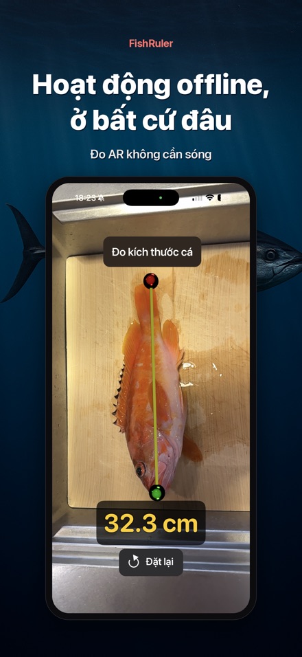FishRuler: Đo kích thước cá 7