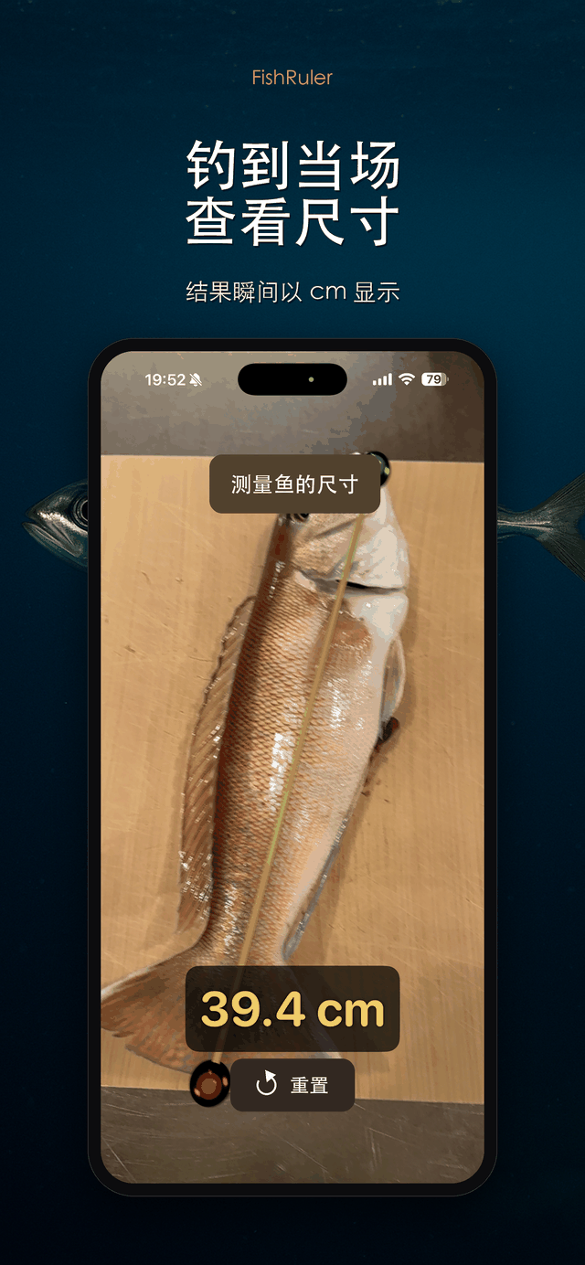 即时显示