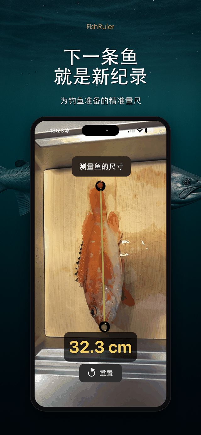 你的下一个纪录
