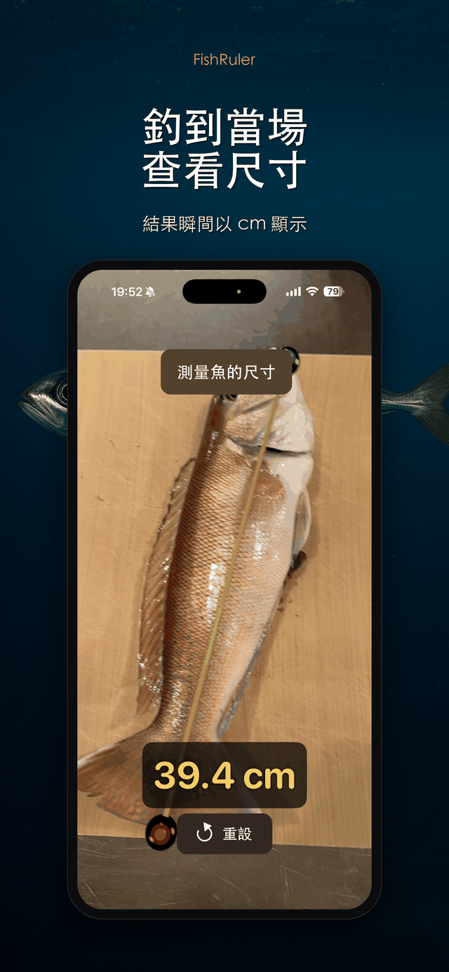 即時顯示