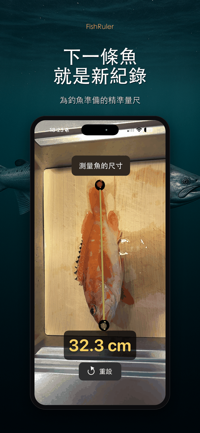 你的下一個紀錄
