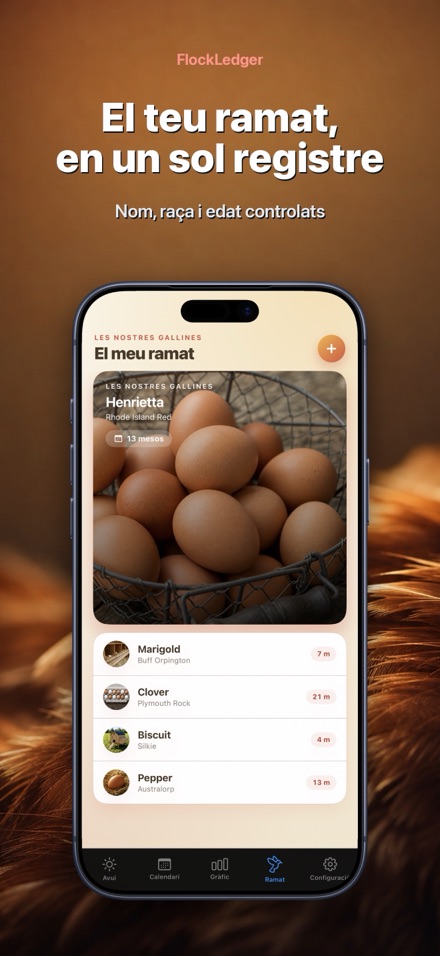 FlockLedger: Comptador d'Ous 5