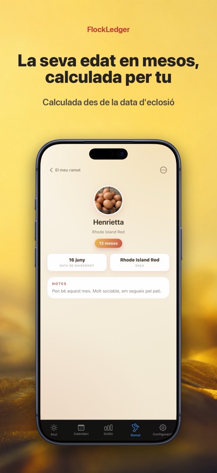 FlockLedger: Comptador d'Ous 7