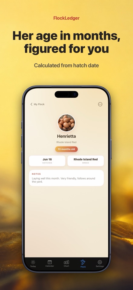 FlockLedger: Egg Tracker 7