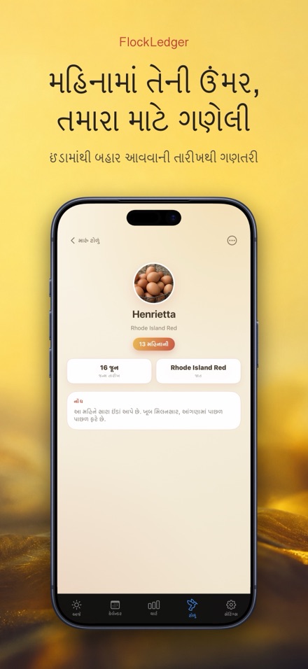 FlockLedger: ઈંડા કાઉન્ટર 7