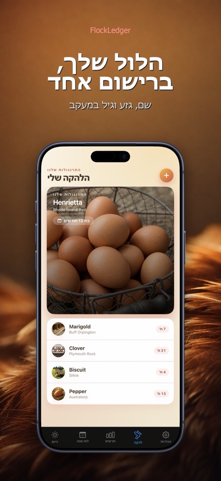 FlockLedger: מונה ביצים 5