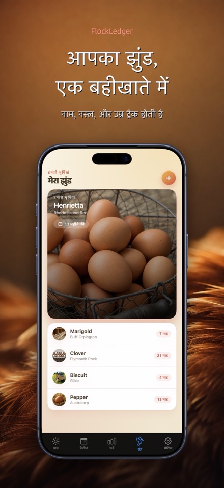 FlockLedger: अंडा काउंटर 5