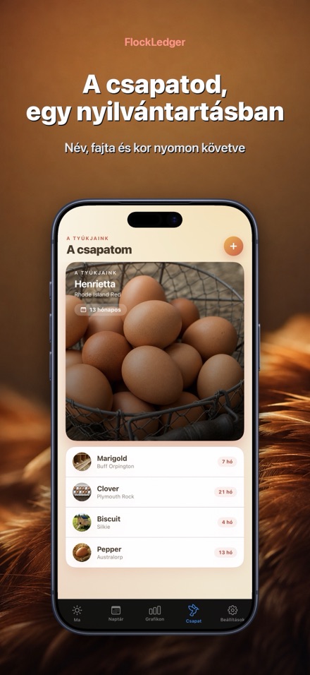 FlockLedger: Tojásszámláló 5