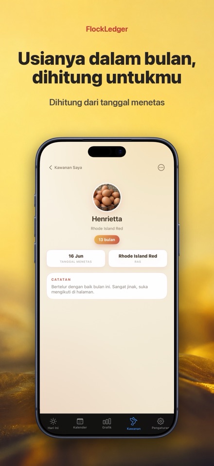 FlockLedger: Penghitung Telur 7