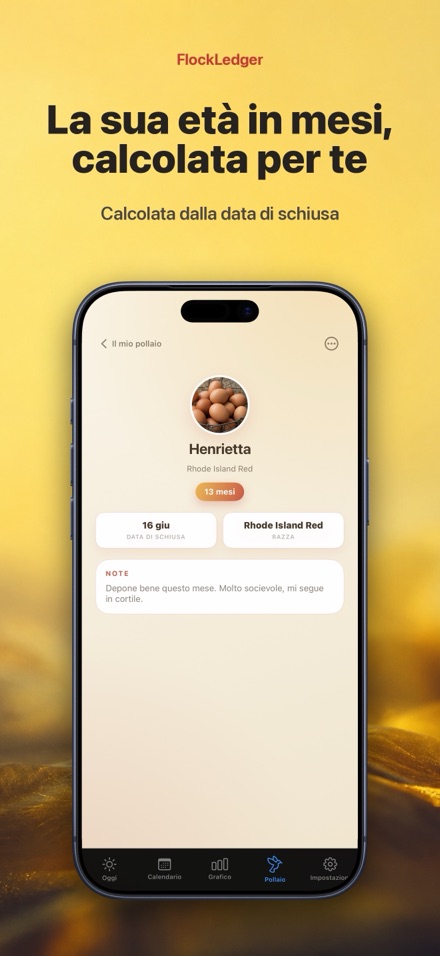 FlockLedger: Contatore Uova 7
