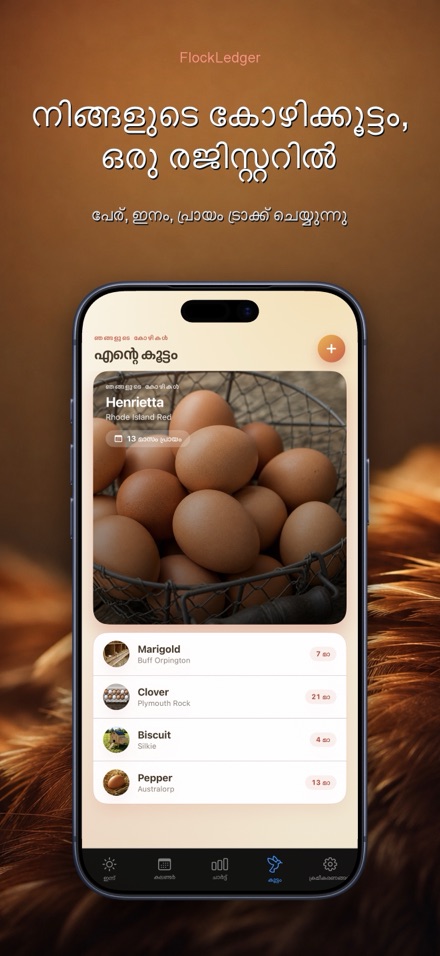 FlockLedger: മുട്ട കൗണ്ടർ 5