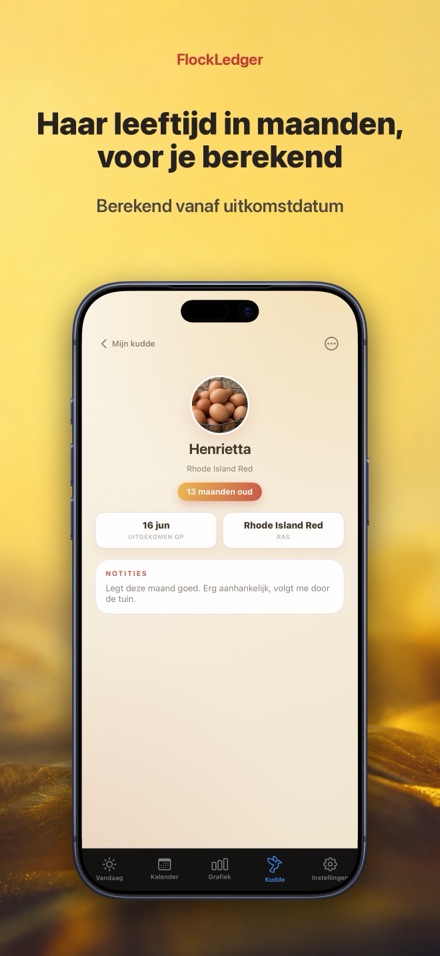 FlockLedger: Eierenteller 7