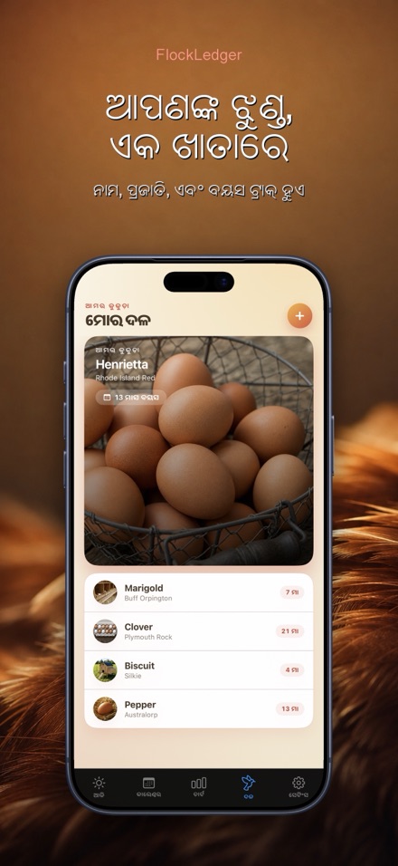 FlockLedger: ଅଣ୍ଡା କାଉଣ୍ଟର 5