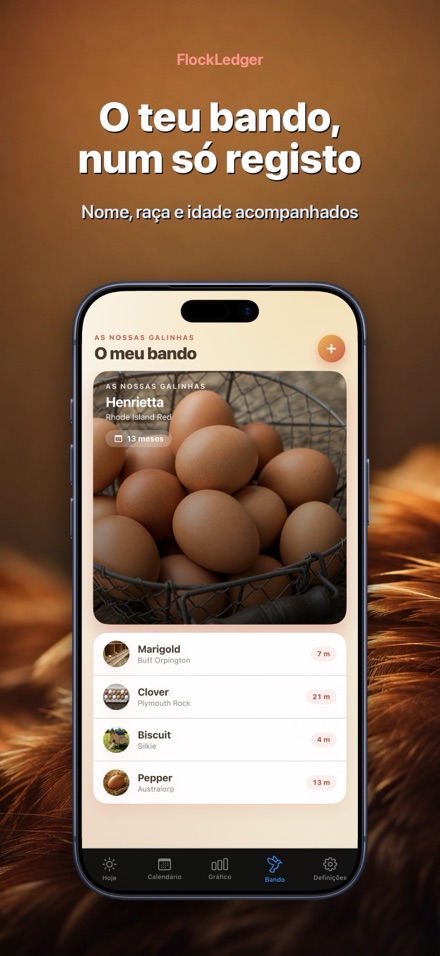FlockLedger: Contador de Ovos 5
