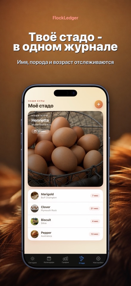 FlockLedger: Счётчик Яиц 5