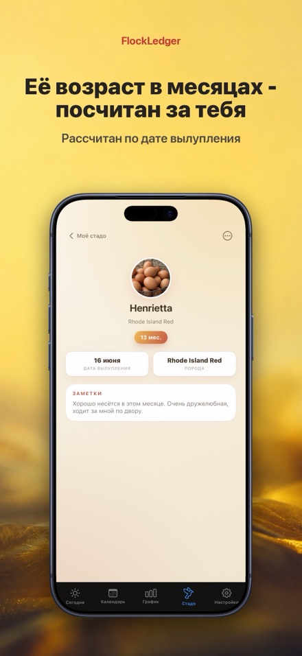 FlockLedger: Счётчик Яиц 7