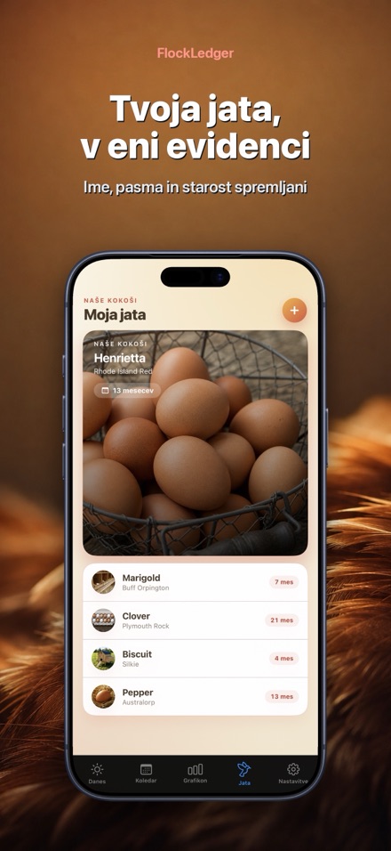 FlockLedger: Števec Jajc 5