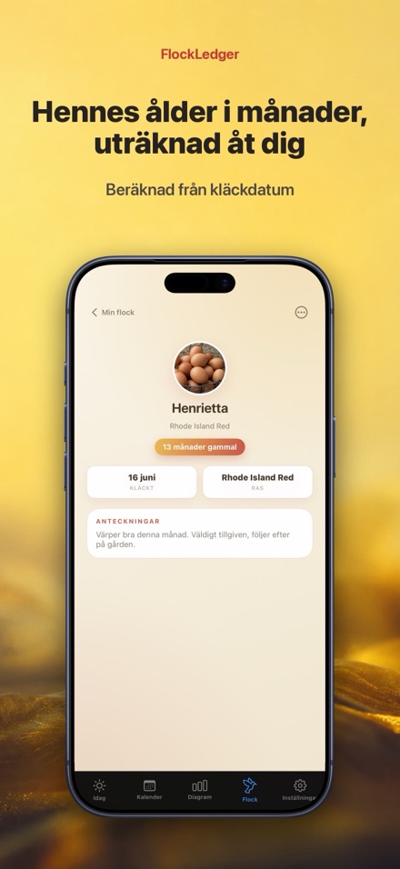 FlockLedger: Äggräknare 7