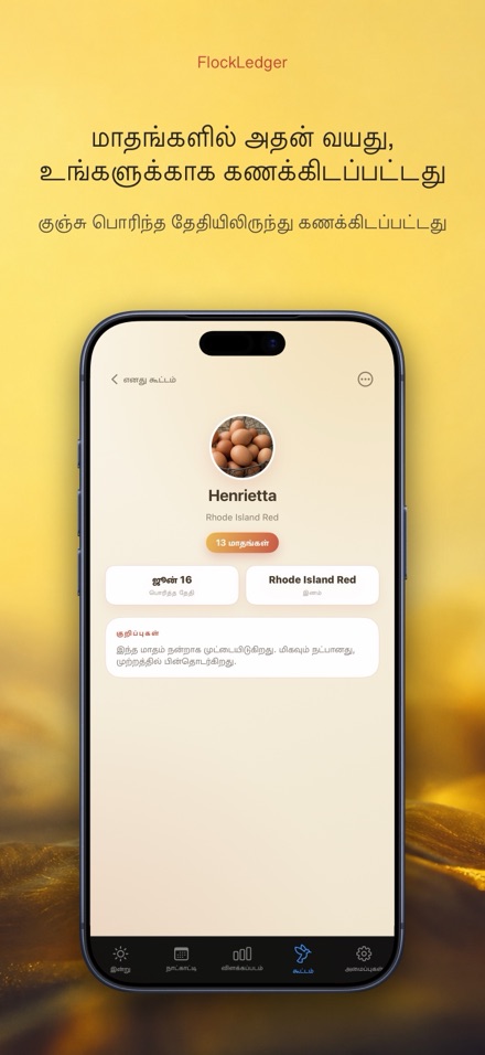 FlockLedger: முட்டை எண்ணிக்கை 7