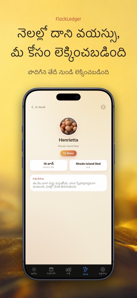 FlockLedger: గుడ్ల కౌంటర్ 7