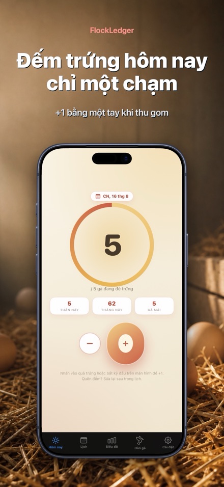 FlockLedger: Đếm Trứng Gà 1