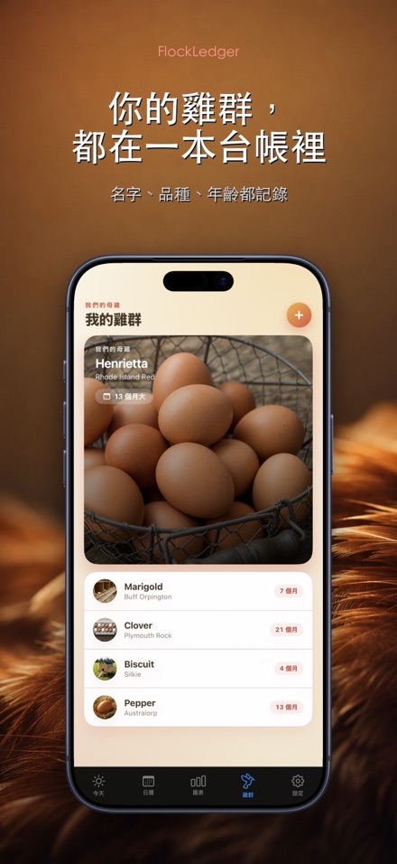 FlockLedger：雞蛋記錄本 5