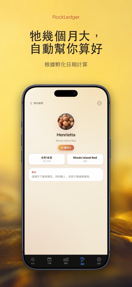 FlockLedger：雞蛋記錄本 7