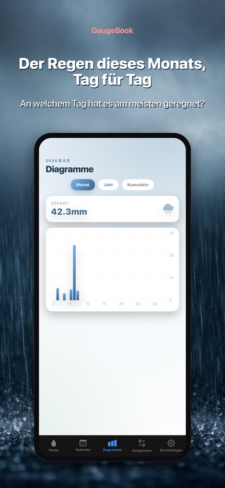GaugeBook: Regenmesser 3