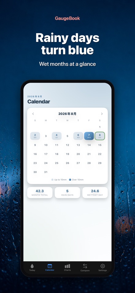 GaugeBook: Rain Gauge Log 2