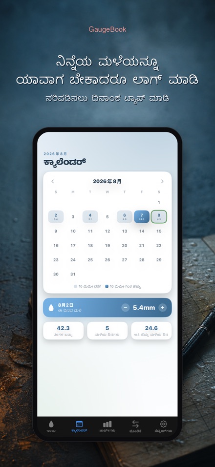 GaugeBook: ಮಳೆ ಡೈರಿ 7
