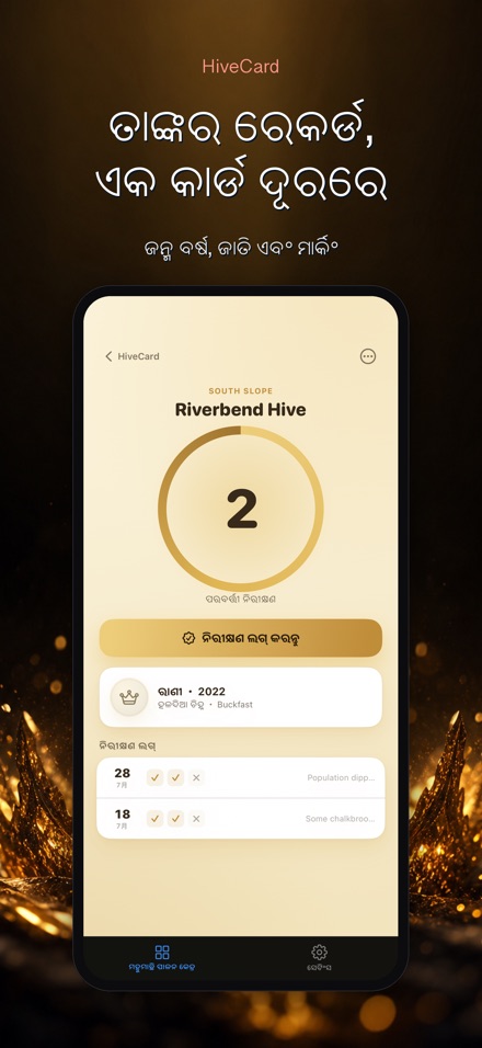 HiveCard: ମହୁମାଛି ଡାଏରୀ 8