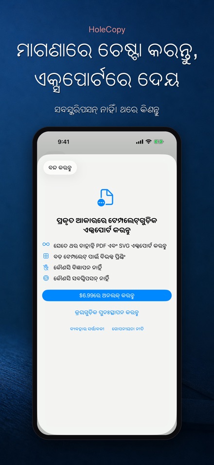 HoleCopy: ହୋଲ ଟେମ୍ପଲେଟ୍ 10