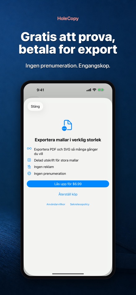 HoleCopy: Hålmall 10
