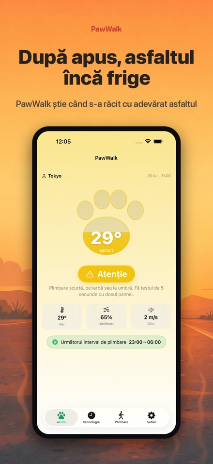 PawWalk: Plimbare în caniculă 5