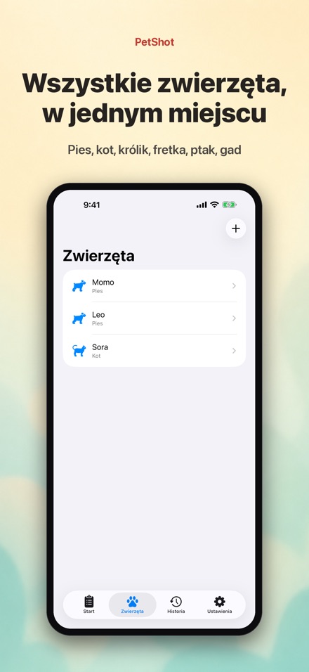 PetShot: Przypomnienie 2