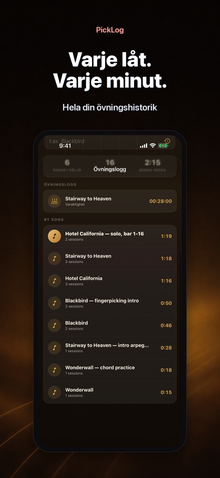PickLog: Gitarrövnings-timer 5