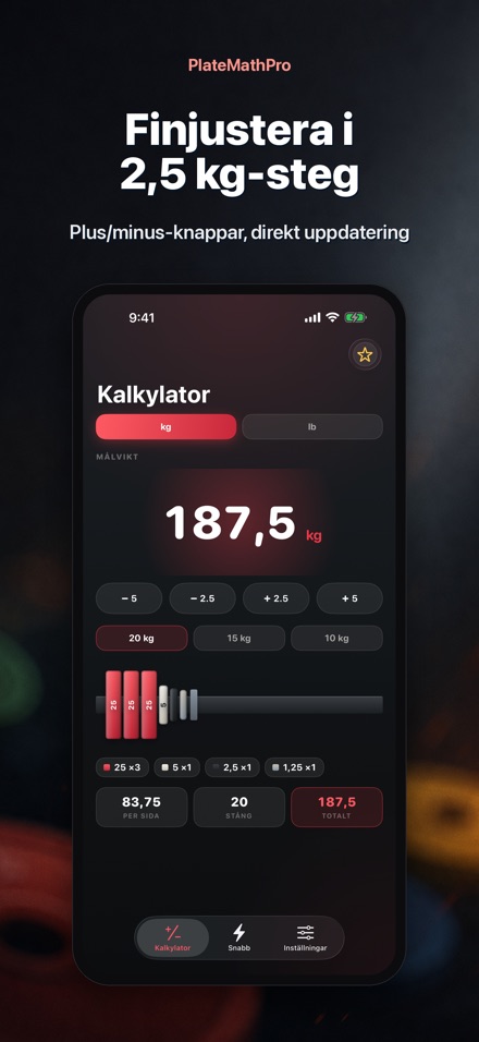 PlateMathPro: Skivberäkning 3