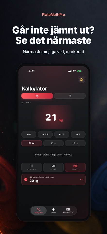 PlateMathPro: Skivberäkning 4