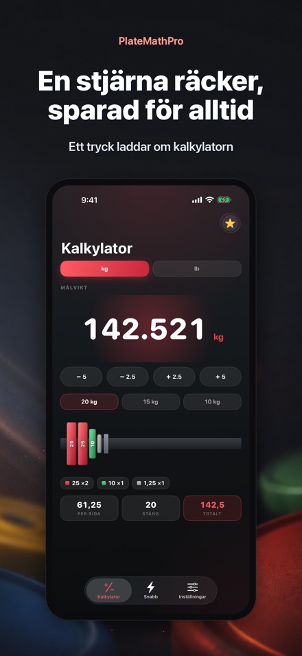 PlateMathPro: Skivberäkning 6