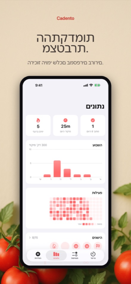 צפו בהתקדמות שלכם נבנית